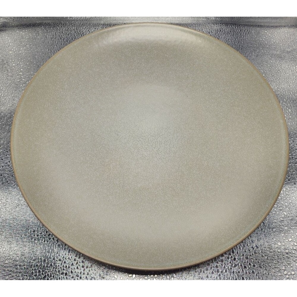 Pottery Barn Mason Stoneware Natural Color Dinner Plates (set of 2) READ!!! - Picture 7 of 15